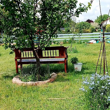 Negra Vendeghaz * Balatonfőkajár