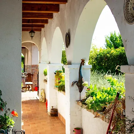 Negra Vendeghaz Apartment *